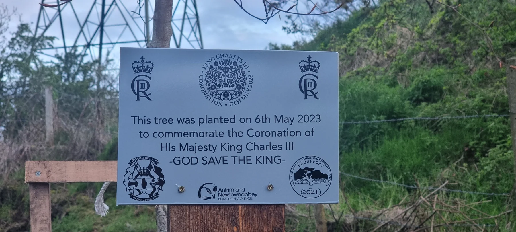 Commemorative plaque beside the King Charles III Coronation tree